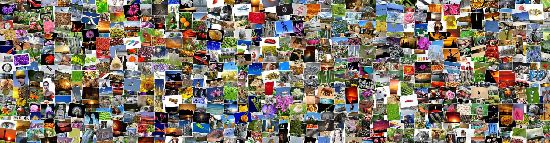 Galleria fotografica